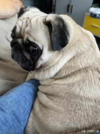 请问你这啥表情，摸一下都不行吗[白眼]