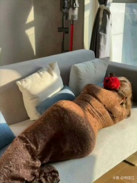 太阳特别好[topic src="22703"]#身材[/topic] 