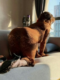 太阳特别好[topic src="22703"]#身材[/topic] 