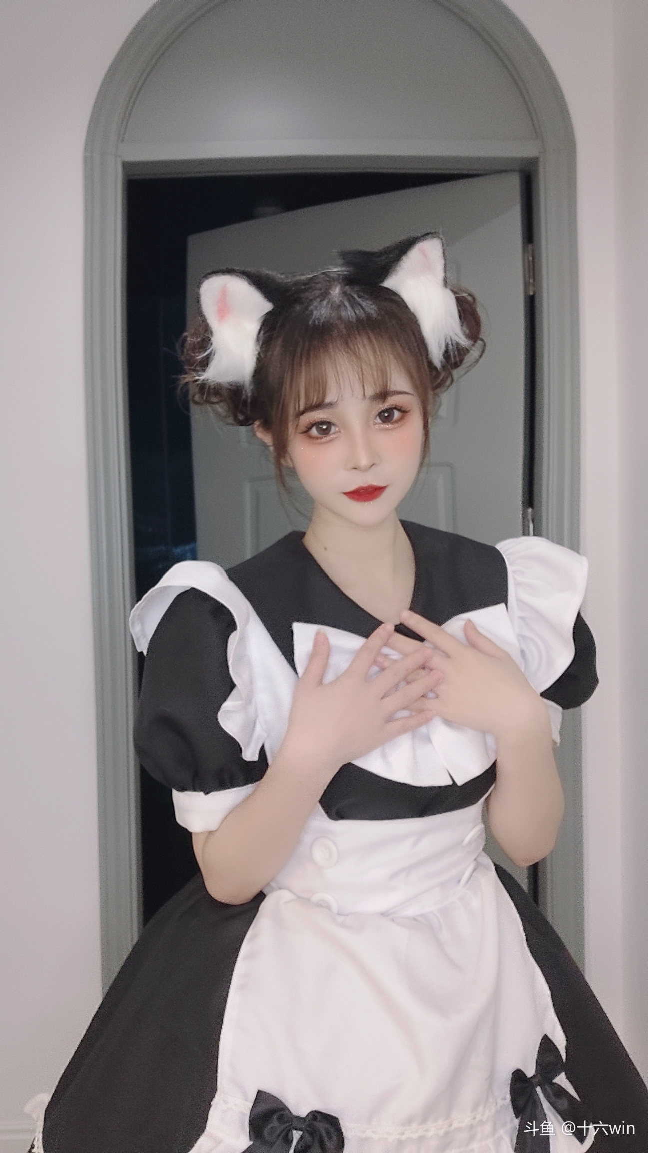 猫耳女仆装!_斗鱼鱼吧