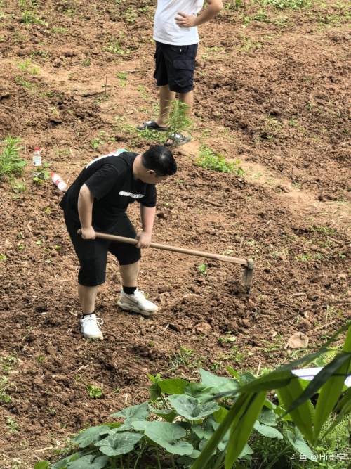 鱼吧-斗鱼社区,直播爱好者的聚集地