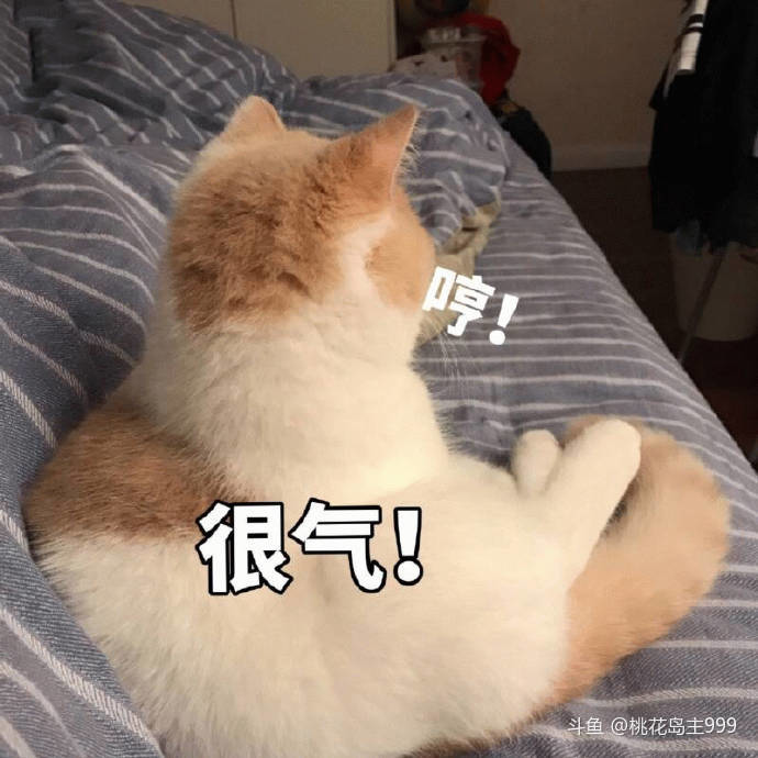 Android
未设置钻粉可见
二次上传 无设置钻粉可见