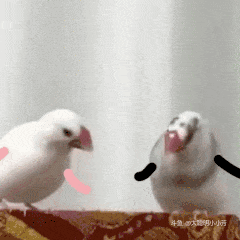 ✨🥳【上周周榜】💕