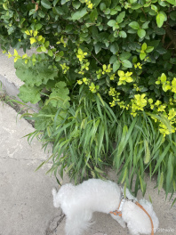 你是我荒芜宇宙里的爱与救赎❣️