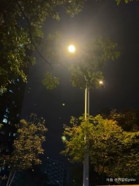 冬天越冷 温暖越珍贵❣️