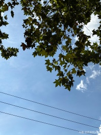 我喜欢你出现在我生命里❣️