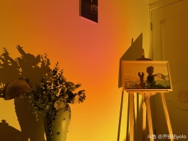 我们曾 灵魂共享 谢谢你在身旁❣️