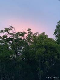 秋天是收获爱和鼓励的季节❣️