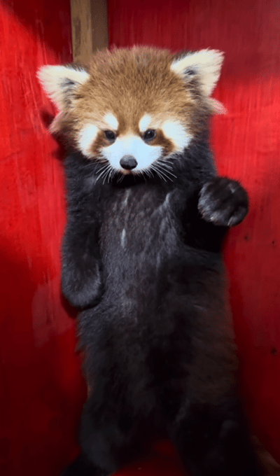 假如你穿越过去遇到小时候的电棍你会干嘛？