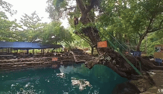 [user src="5MdGLoy0OApj"]@张流儿zZ[/user]  这个臭扫