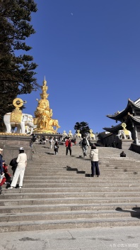 我顺顺是第一名☝️[topic src="232239"]#徒步峨眉山[/topic] 