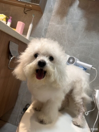 请找出图中的顺顺[阴险]