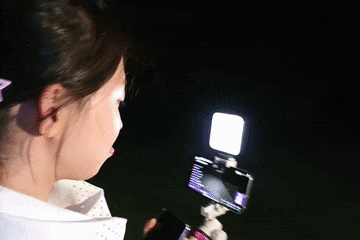 燕子啊，燕子啊………