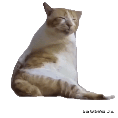 八月份的钻粉回馈是小🐑抱枕，抱枕尺寸是40x40！
开通/续费钻粉的小伙伴记得填写钻粉回馈地址喔！
么么哒[爱你][爱你][爱你]