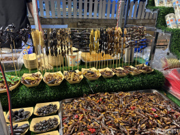 云南之旅假期结束啦～ 
没抢到明天的票，正在努力抢后天的！
后天山庄不见不散！