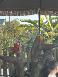 云南之旅假期结束啦～ 
没抢到明天的票，正在努力抢后天的！
后天山庄不见不散！