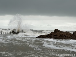 最近是不是要谨言慎行了[鲨鱼娘思考][鲨鱼娘思考]