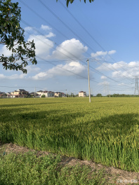 哇！今天天气真的超好诶~[topic src="11024"]#天气[/topic] 你们那边天气咋样？！🥰
[topic src="1464"]#日常[/topic] 