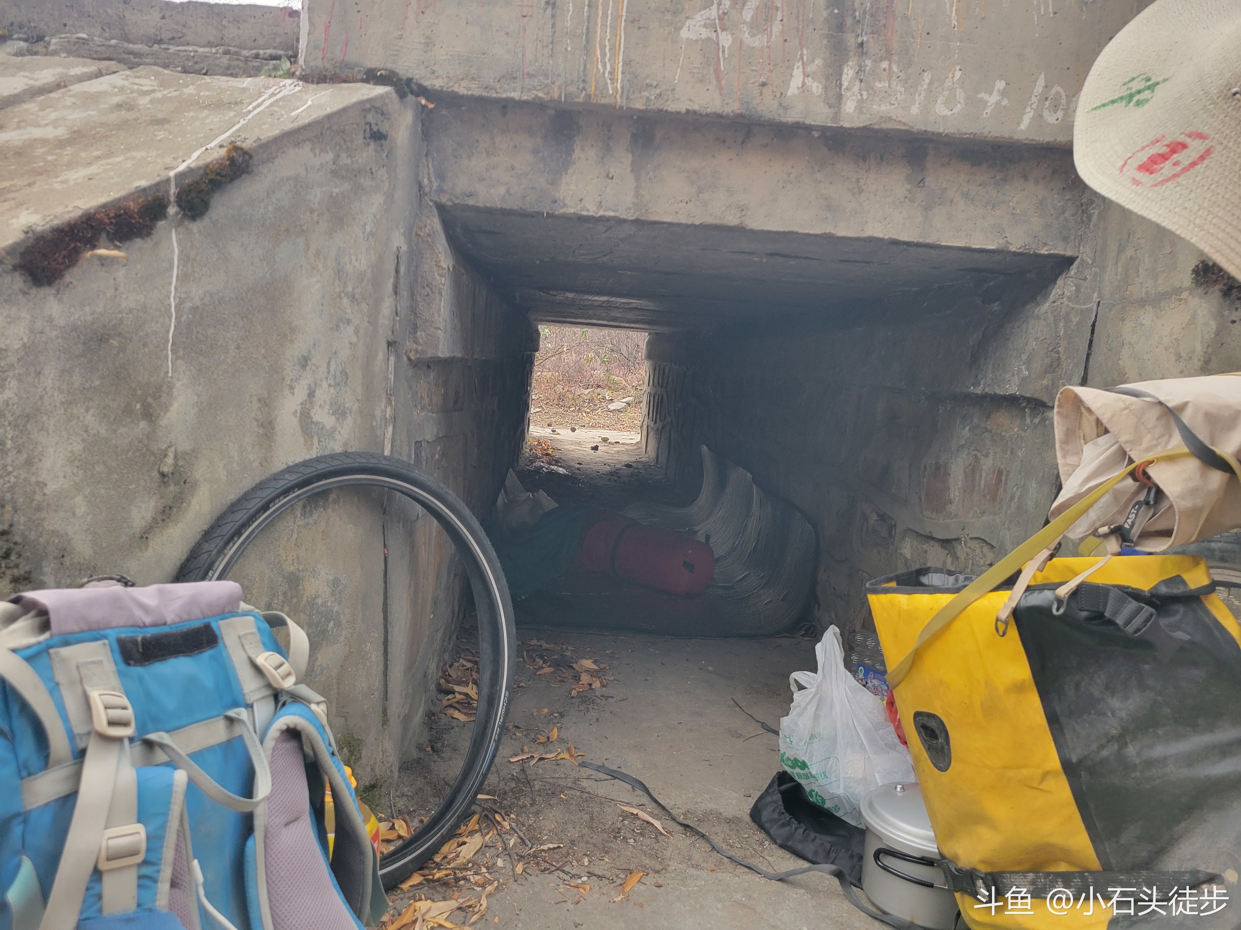 今晚零下五度找到一个桥洞睡觉美啊