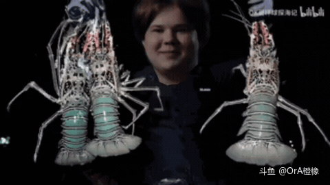 紫薇赶海来咯[龇牙][龇牙]