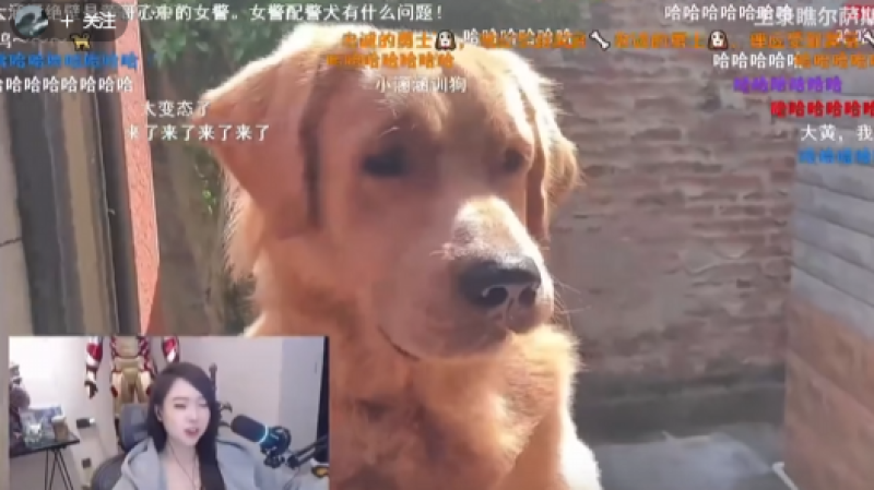 拜小涵涵所赐，黄旭东喜提叼哥称号